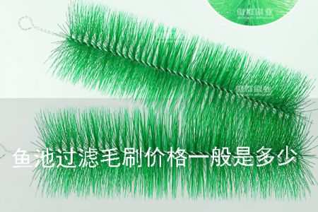魚池過濾毛刷的價(jià)格一般是多少