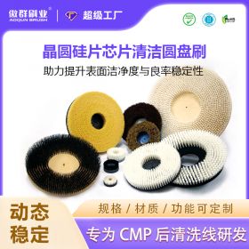 晶圓硅片芯片清潔圓盤刷