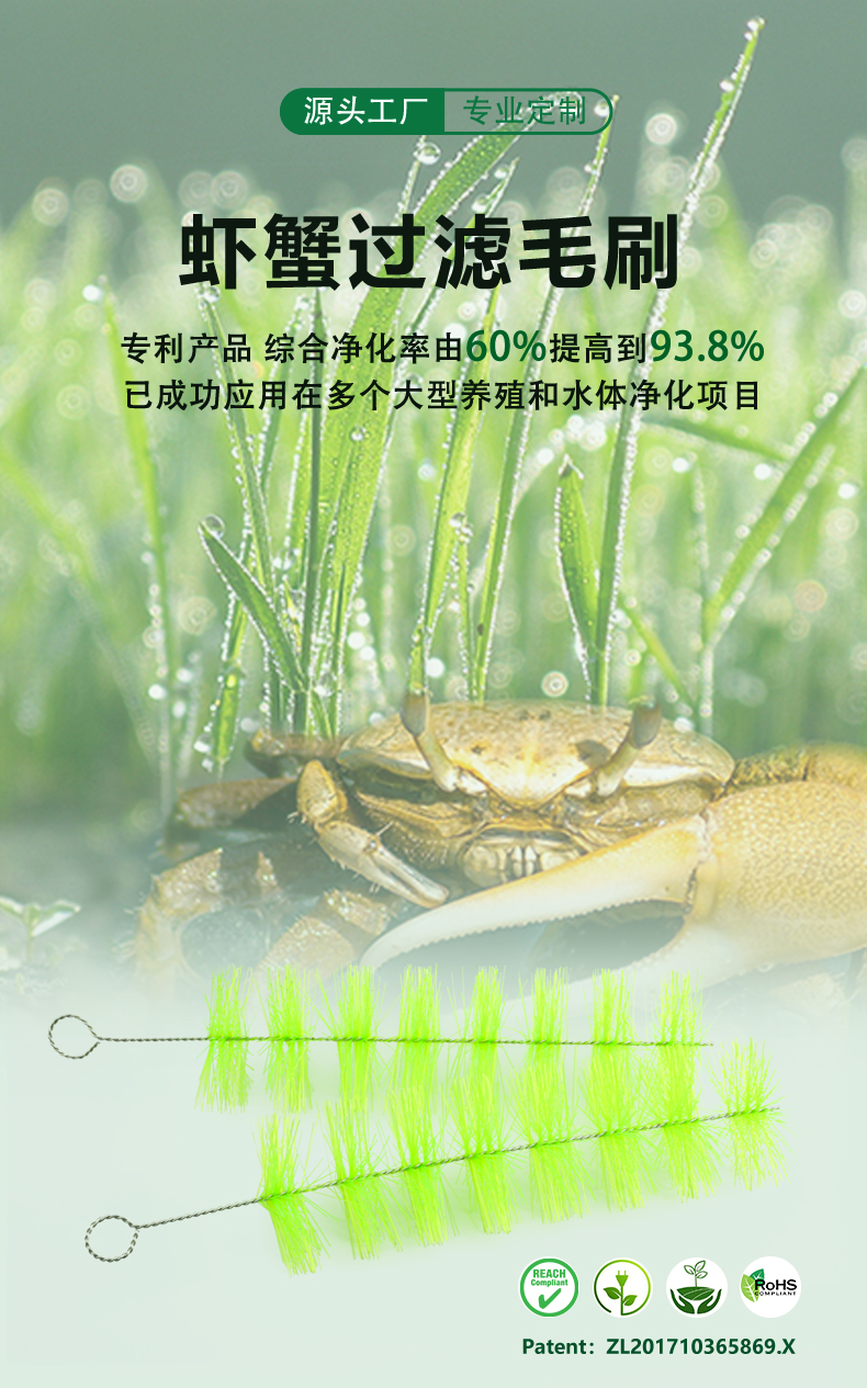 蝦蟹過(guò)濾毛刷01