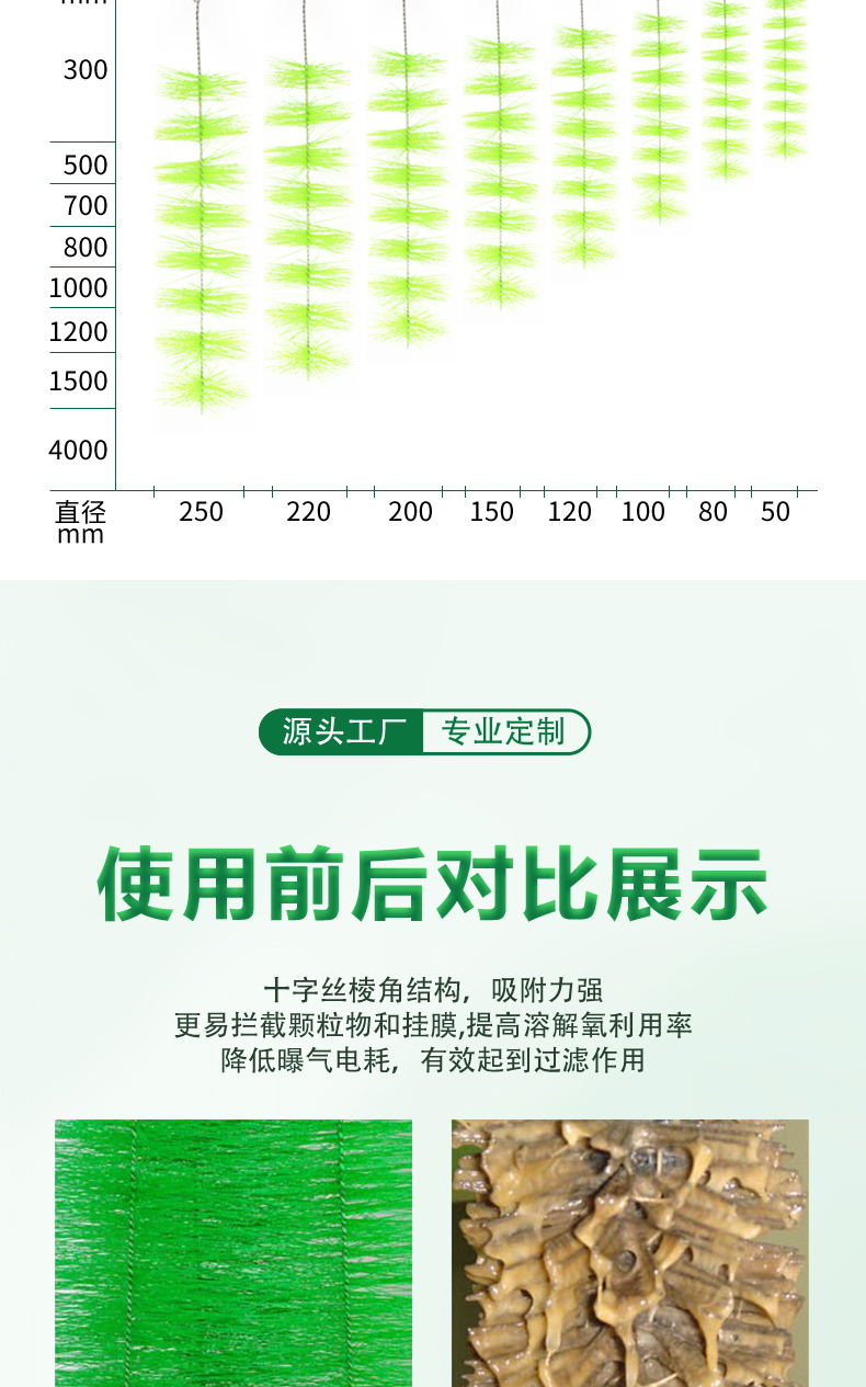 蝦蟹過(guò)濾毛刷07