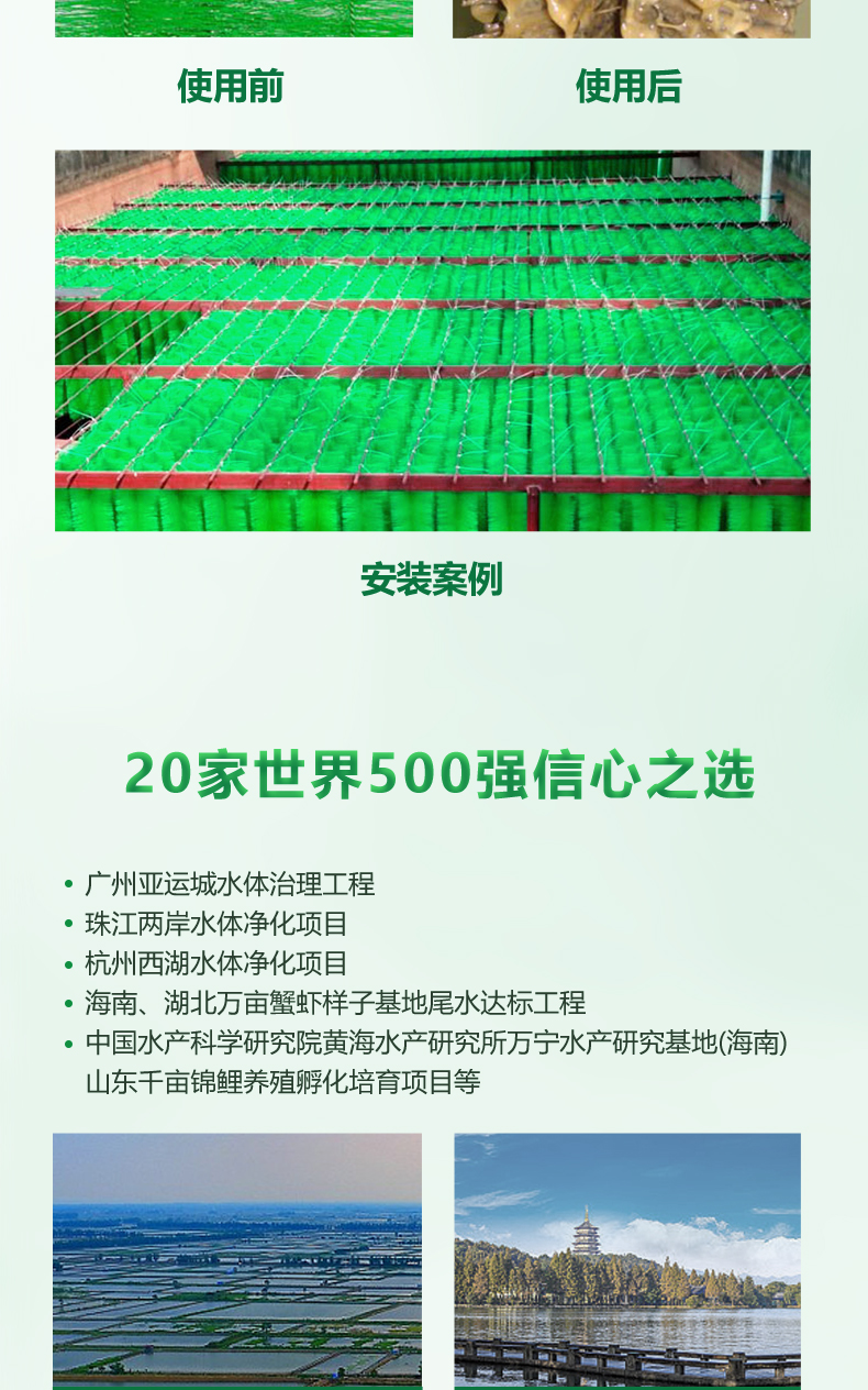 蝦蟹過(guò)濾毛刷08